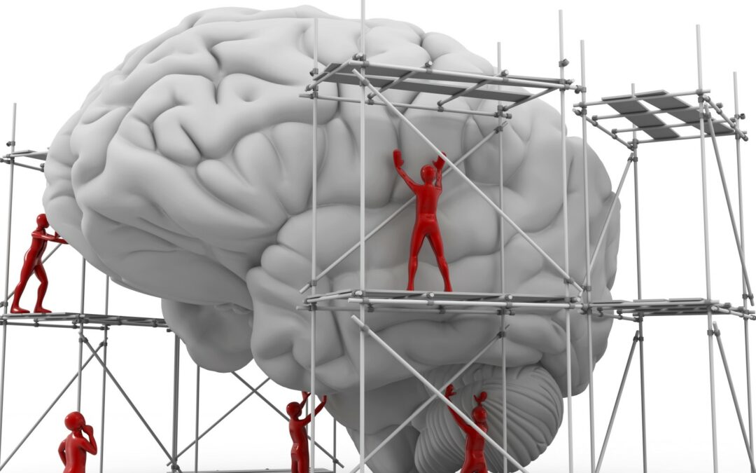 How to build a better brain